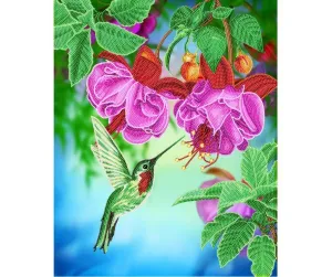 Craft Buddy Framed Crystal Art Kit, 40 x 50cm - Hummingbird Dreams