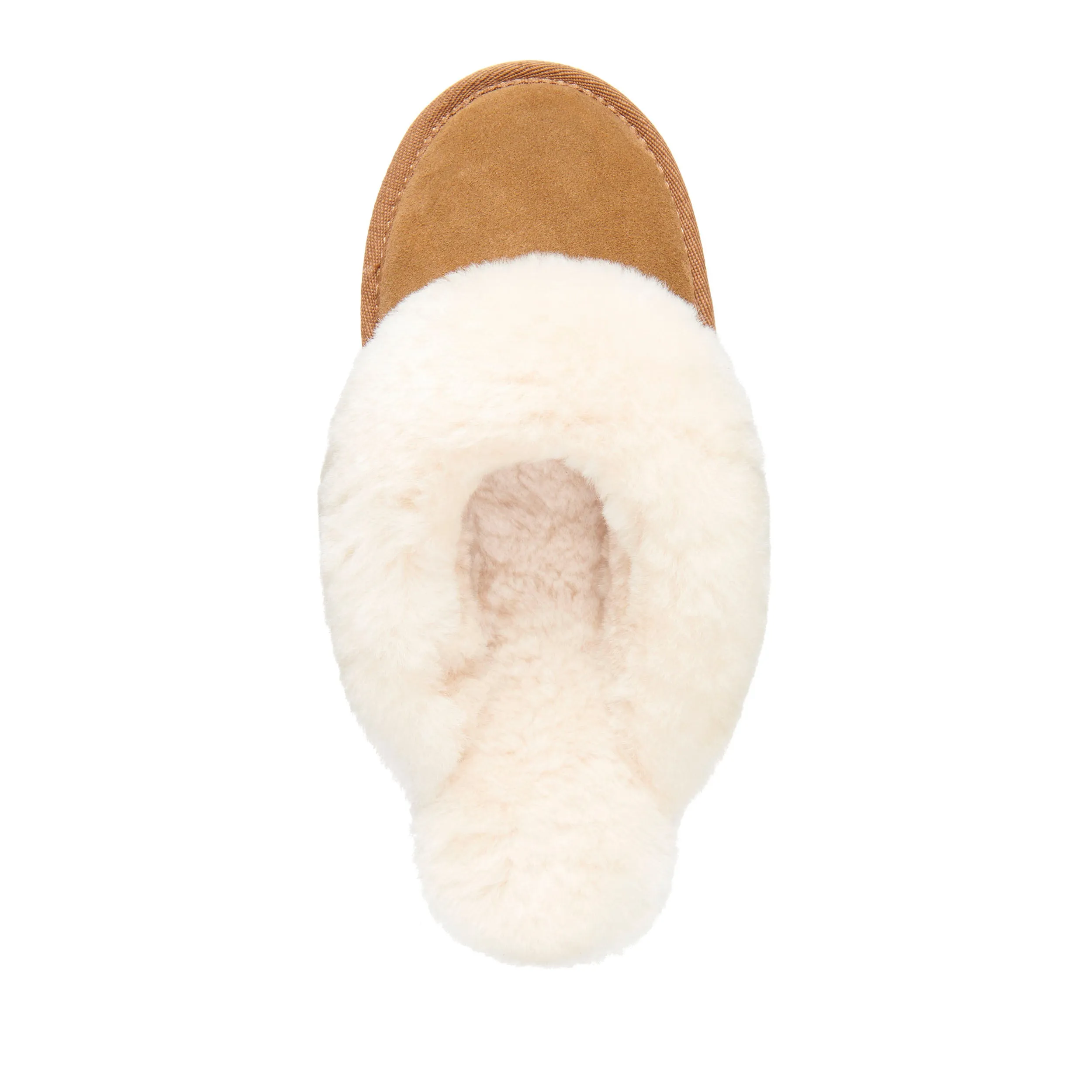 *FINAL SALE*Jolie - Chestnut||Jolie - Châtaigne