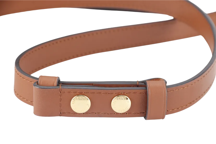 LOUIS VUITTON DAUPHINE MM(M45958) MONOGRAM REVERSE WITH STRAPS, STRAP, CHAIN, DUST COVER AND BOX