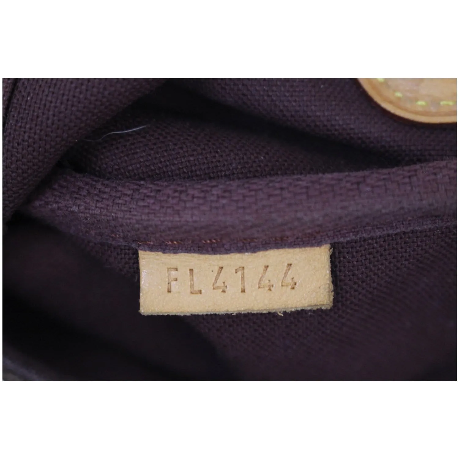 LOUIS VUITTON Favorite MM Monogram Canvas Crossbody Bag