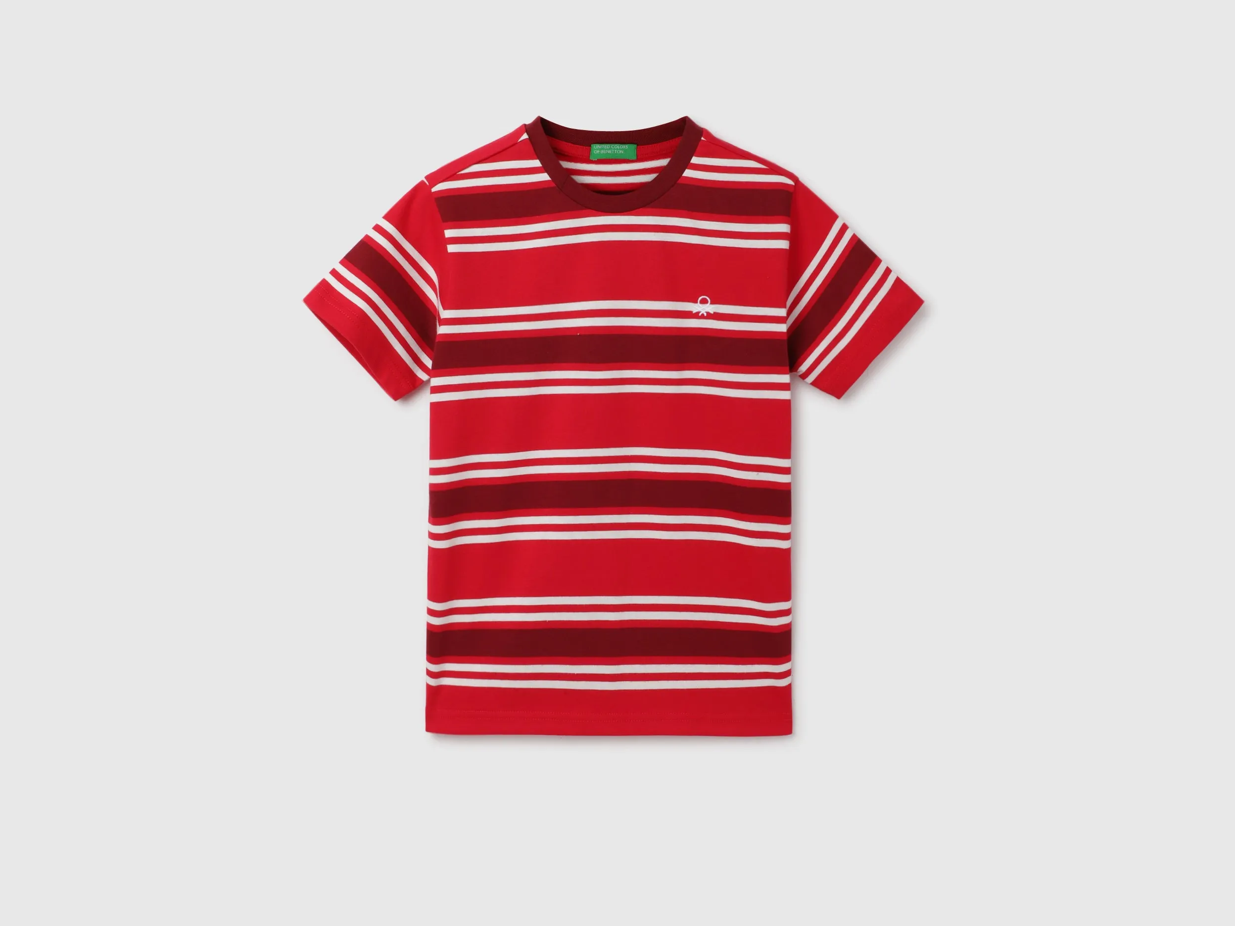 Regular Fit Round Neck Striped Pattern T-shirt
