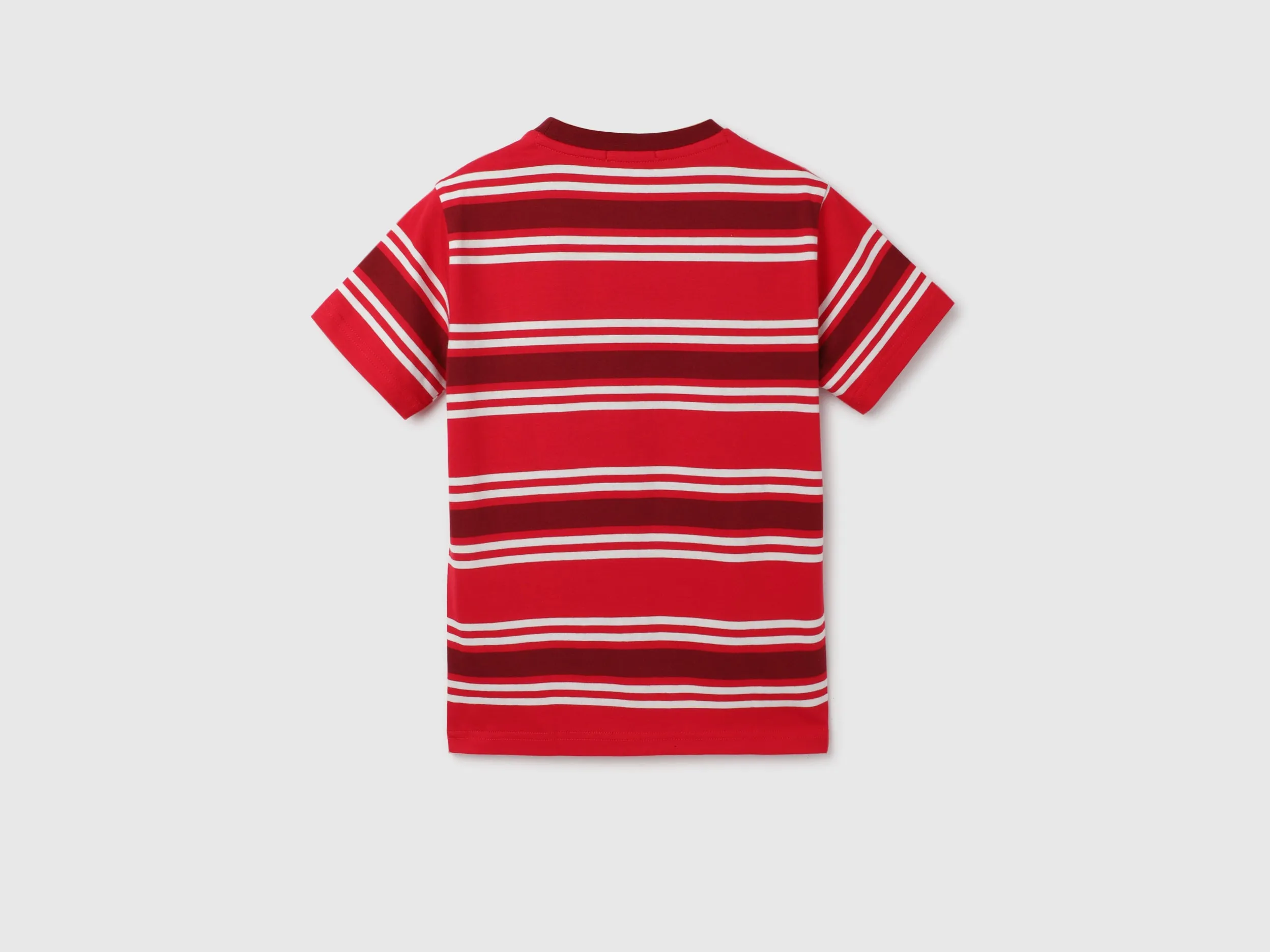 Regular Fit Round Neck Striped Pattern T-shirt
