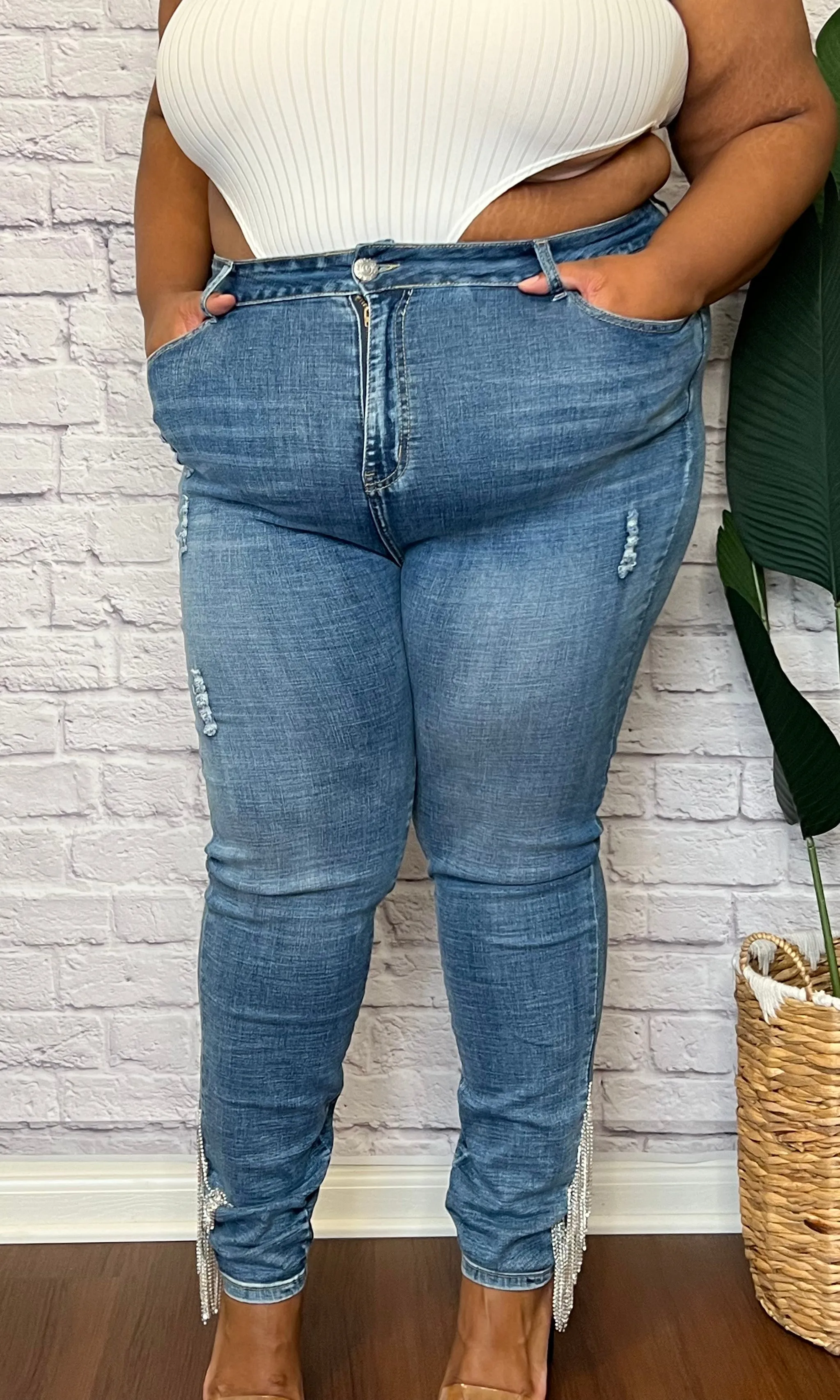 Renaissance Denim • Curve
