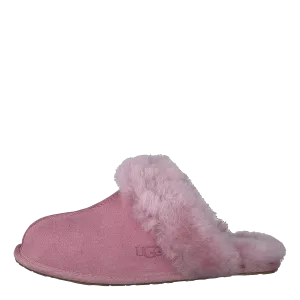 Scuffette Ii Shell