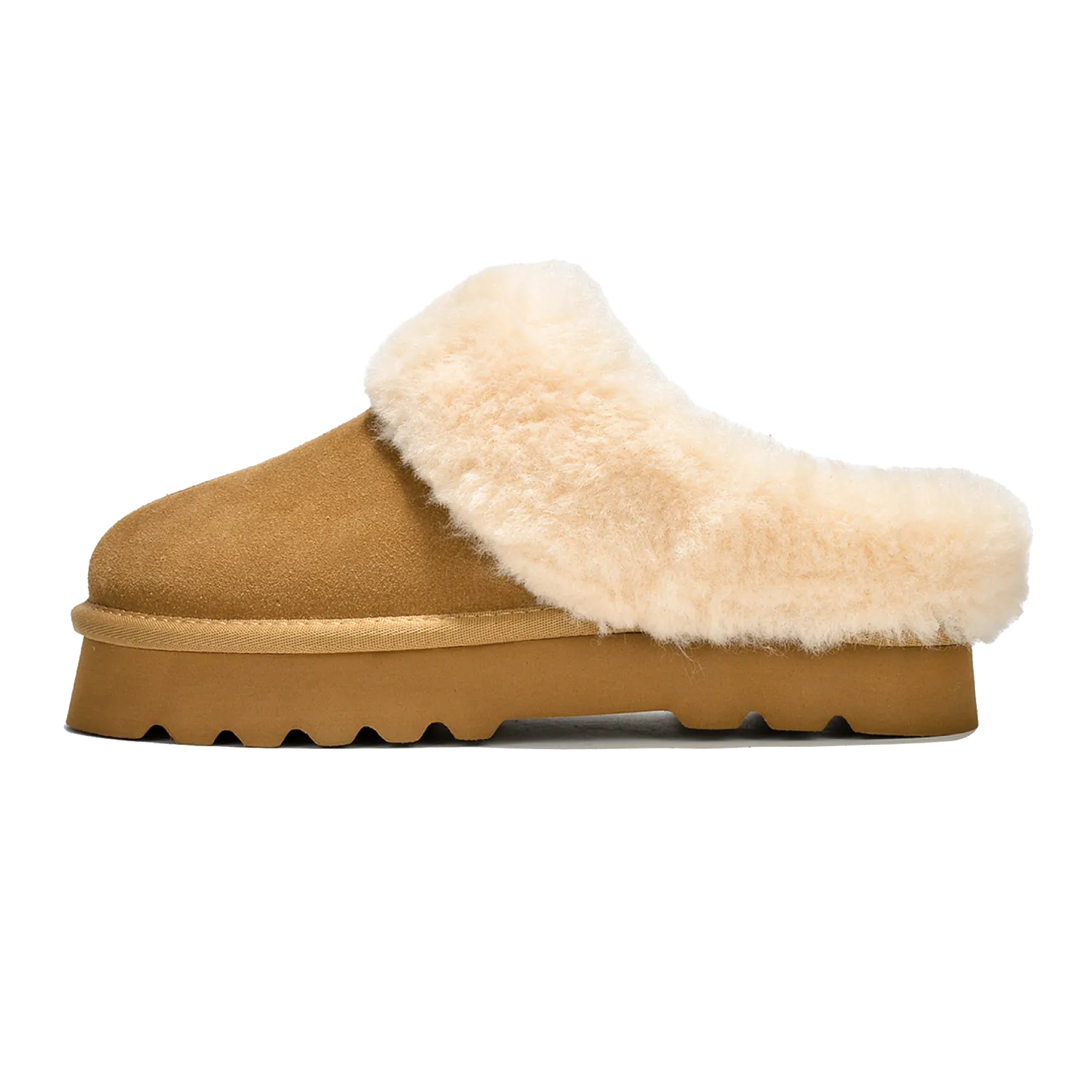 Snowy - Chestnut-OLD