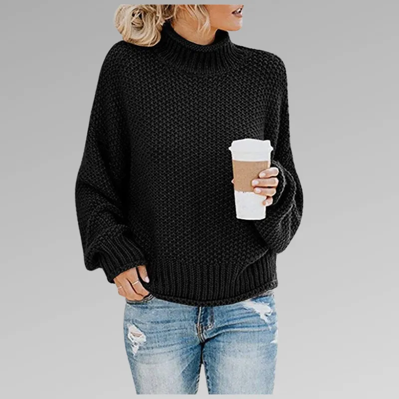 Temia | Cozy Knit Turtleneck Sweater