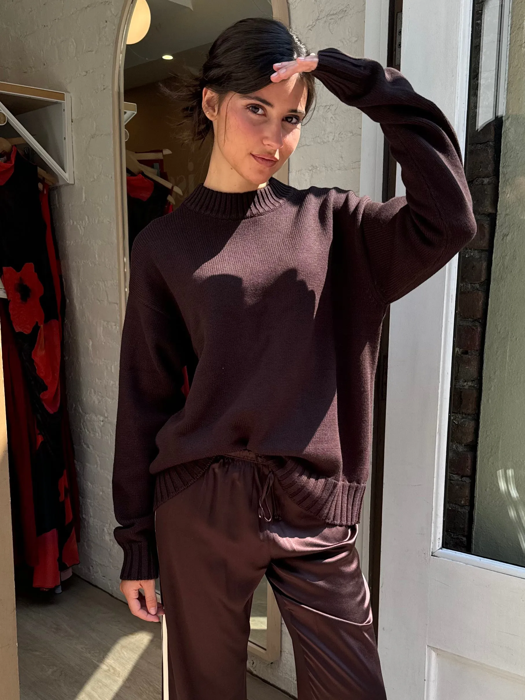 The Cotton Crewneck Sweater in Espresso