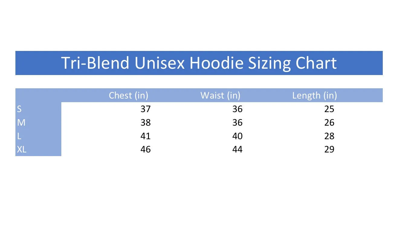 Triblend Fleece Pullover Hoodie Surely Not Everybody Was Kung Fu Fighting - Funny Shirt